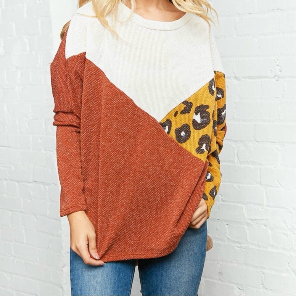 Leopard Print Color Block Sweater - image 3